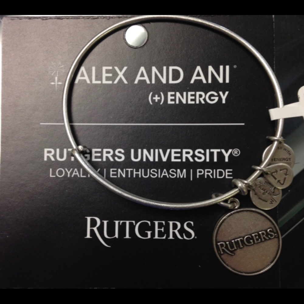 Alex and Ani braclet